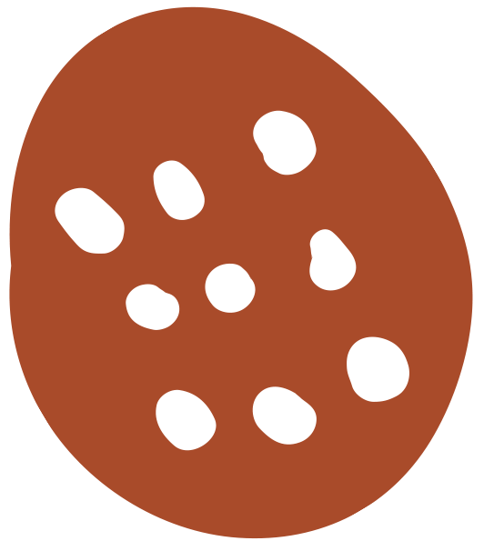 racchetta